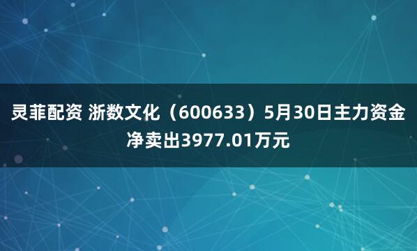 灵菲配资 浙数文化（600633）5月30日主力资金净卖出3977.01万元