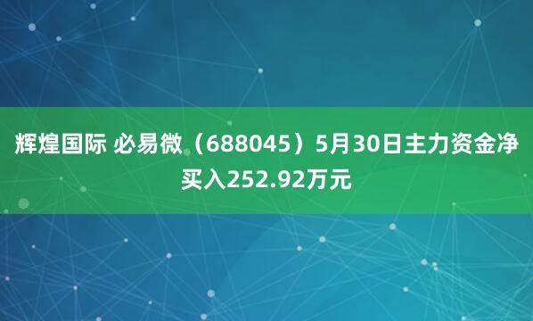 辉煌国际 必易微（688045）5月30日主力资金净买入252.92万元