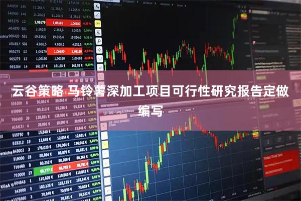 云谷策略 马铃薯深加工项目可行性研究报告定做编写