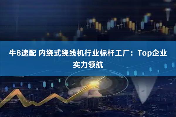 牛8速配 内绕式绕线机行业标杆工厂：Top企业实力领航