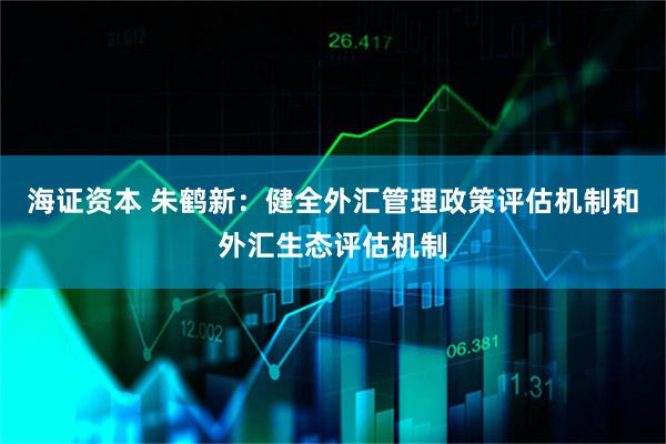 海证资本 朱鹤新：健全外汇管理政策评估机制和外汇生态评估机制